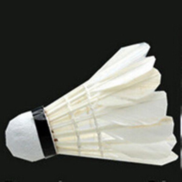 2 Players s, Net and Shuttlecock Combo Set - Image 3