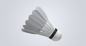 badminton white goose duck feather shuttlecock